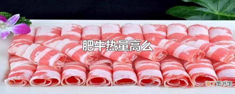肥牛热量高么