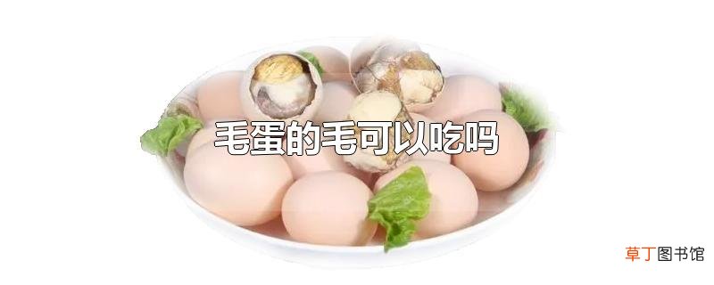 毛蛋的毛可以吃吗
