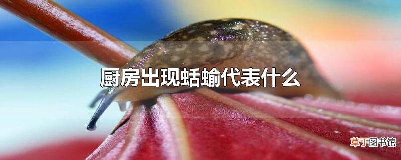 厨房出现蛞蝓代表什么