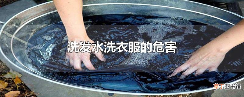 洗发水洗衣服的危害