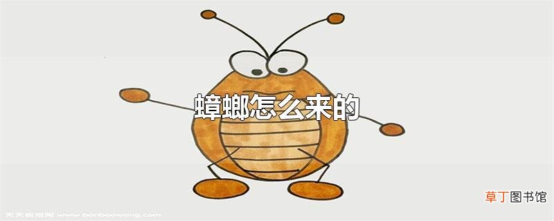 蟑螂怎么来的