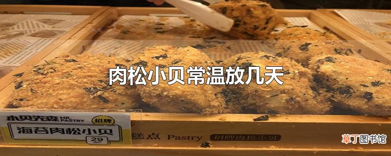 肉松小贝常温放几天