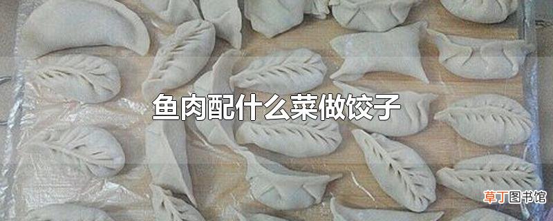 鱼肉配什么菜做饺子