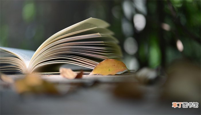 知者不惑仁者不忧勇者不惧出自哪里