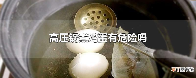 高压锅煮鸡蛋有危险吗