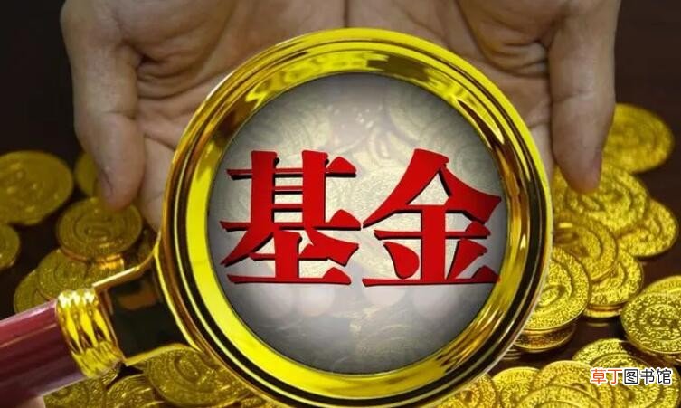 股票型基金和股票的区别是什么