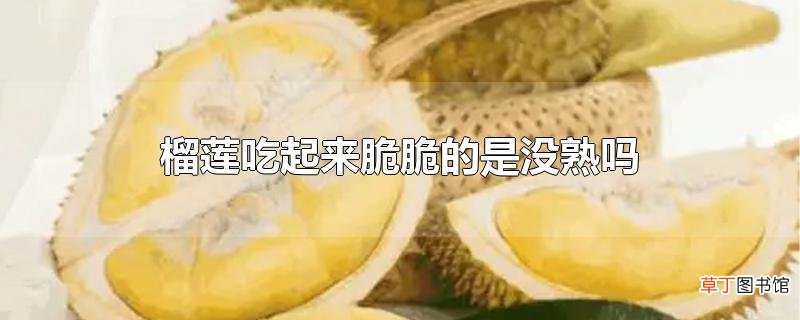 榴莲吃起来脆脆的是没熟吗
