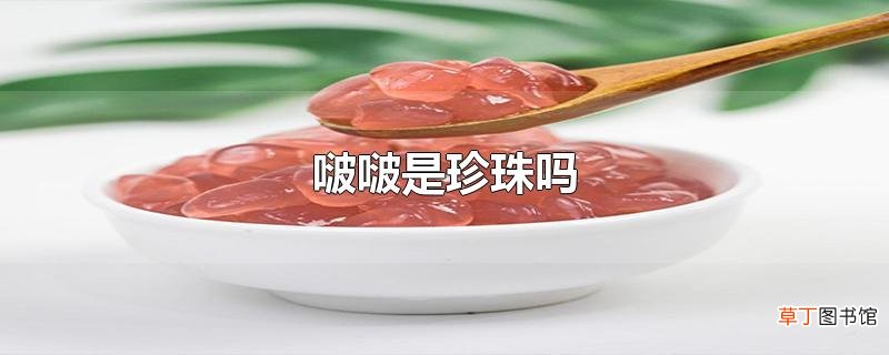 啵啵是珍珠吗