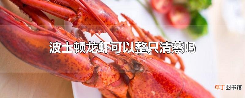 波士顿龙虾可以整只清蒸吗