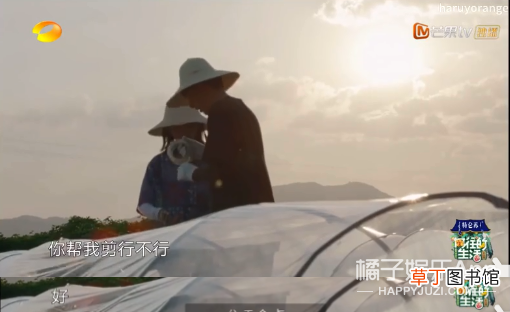 拜托了妹，多拍点恋爱戏好不好？