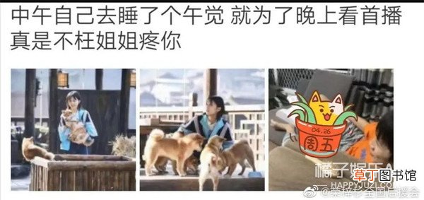 拜托了妹，多拍点恋爱戏好不好？