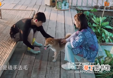拜托了妹，多拍点恋爱戏好不好？