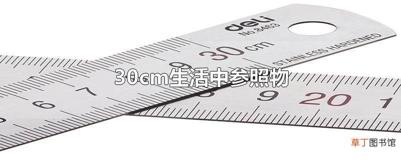 30cm生活中参照物
