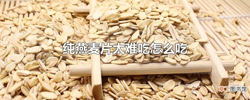 纯燕麦片太难吃怎么吃