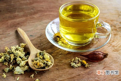 老年人喝什么茶比较好-老年人应该喝什么茶