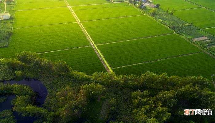我国传统历法一年有多少个节气