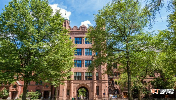 美国有个耶鲁什么大学