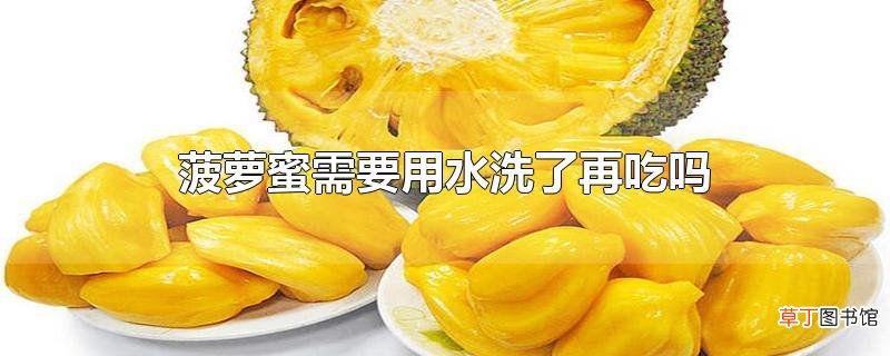 菠萝蜜需要用水洗了再吃吗