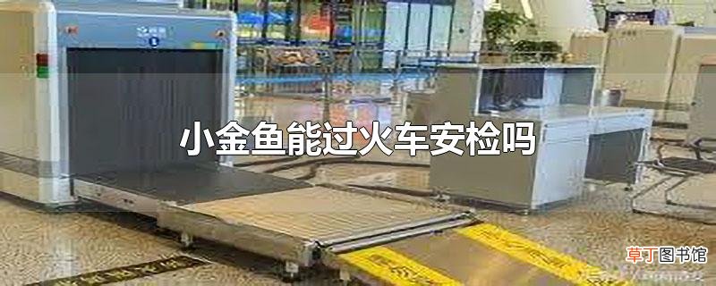 小金鱼能过火车安检吗