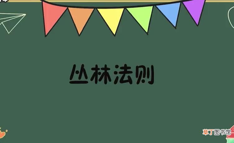 丛林法则是什么意思