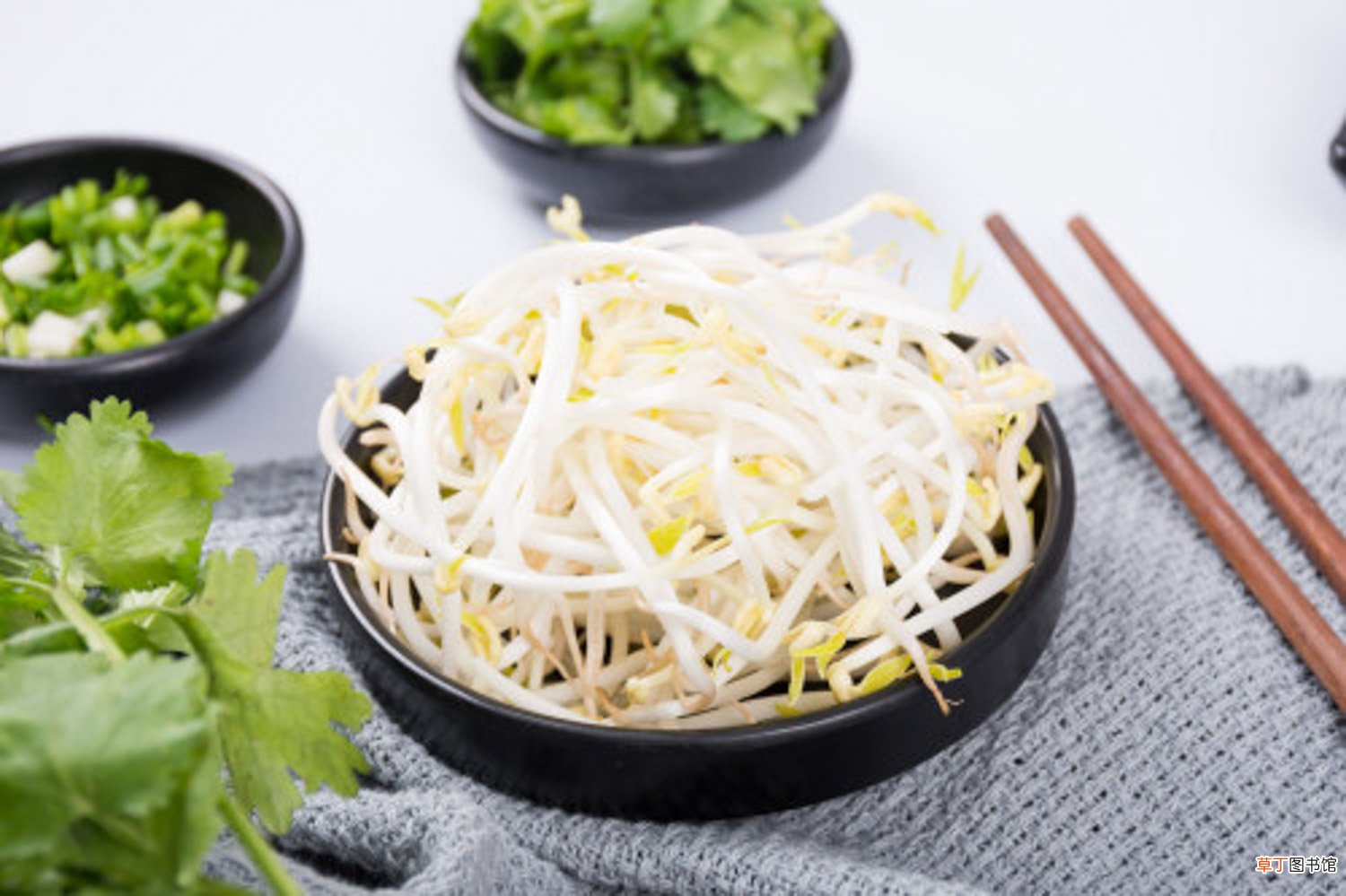 豆芽的养殖方法