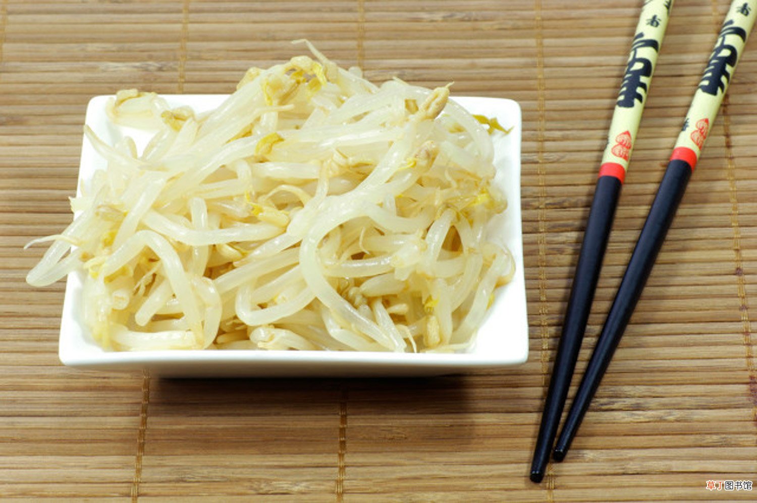 豆芽的养殖方法