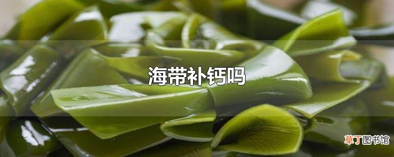 海带补钙吗