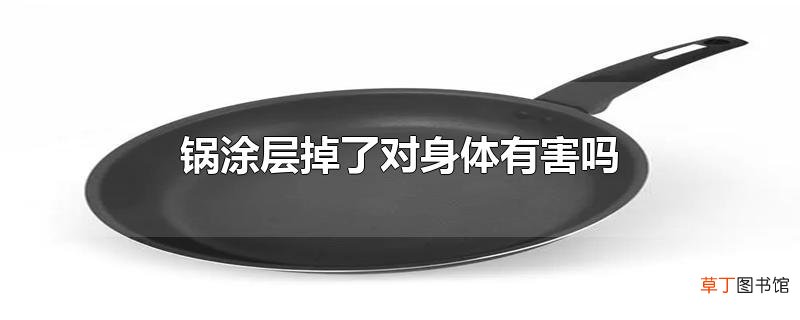 锅涂层掉了对身体有害吗