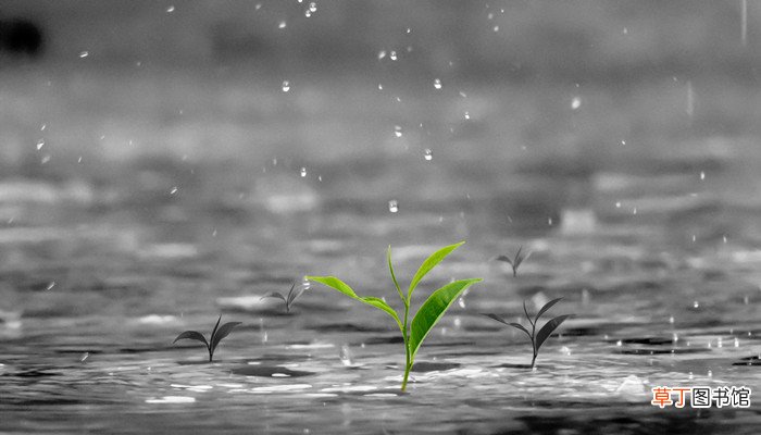 雨是怎样形成的