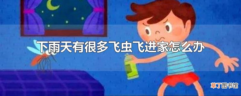 下雨天有很多飞虫飞进家怎么办
