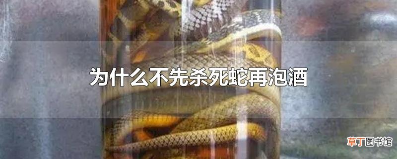 为什么不先杀死蛇再泡酒