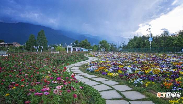 巨人的花园是一篇什么故事