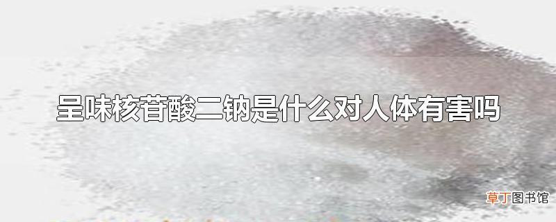 呈味核苷酸二钠是什么对人体有害吗