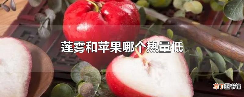 莲雾和苹果哪个热量低