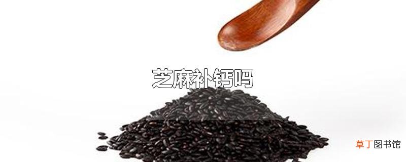 芝麻补钙吗