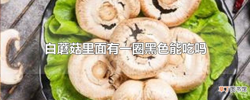 白蘑菇里面有一圈黑色能吃吗