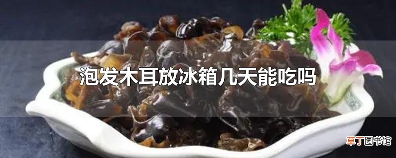 泡发木耳放冰箱几天能吃吗