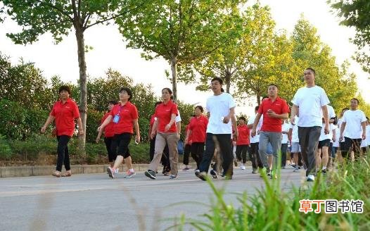 日行万步并不能一刀切 正确健步记住5点