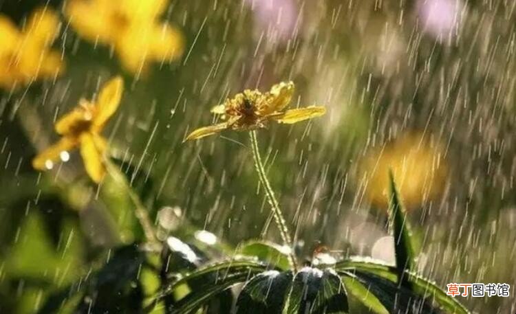 绵绵的春雨不停的下着改为比喻句怎么写