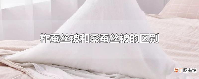 柞蚕丝被和桑蚕丝被的区别