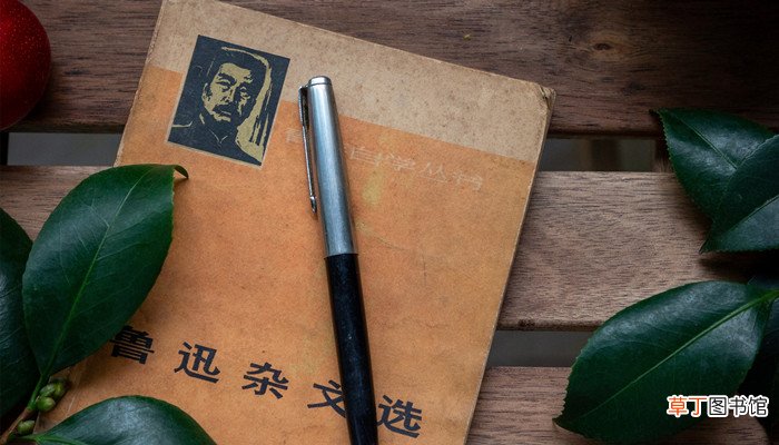 悲欢并不相通的意思