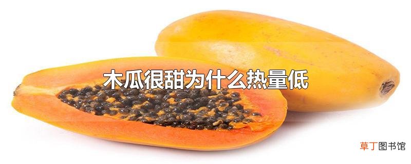 木瓜很甜为什么热量低