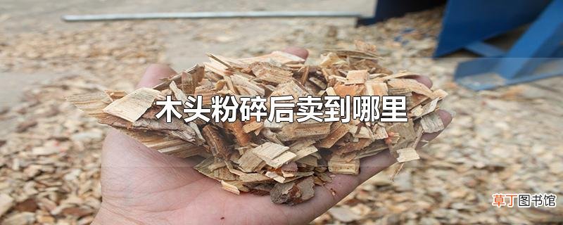 木头粉碎后卖到哪里