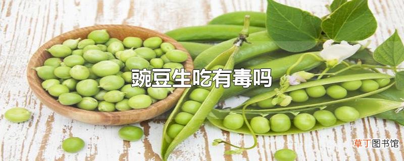 豌豆生吃有毒吗