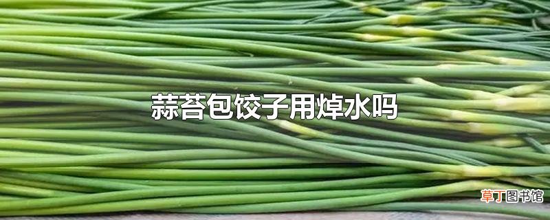 蒜苔包饺子用焯水吗
