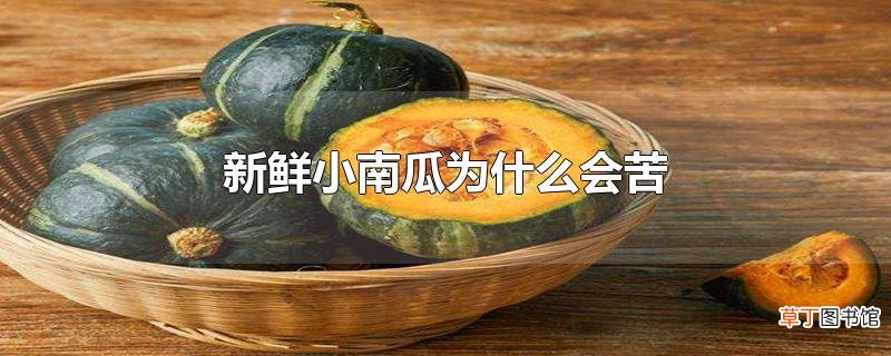 新鲜小南瓜为什么会苦