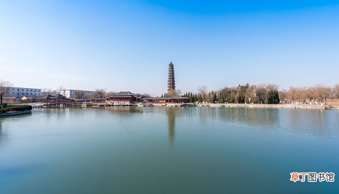 赏花归去马如飞去马如飞酒力微全诗
