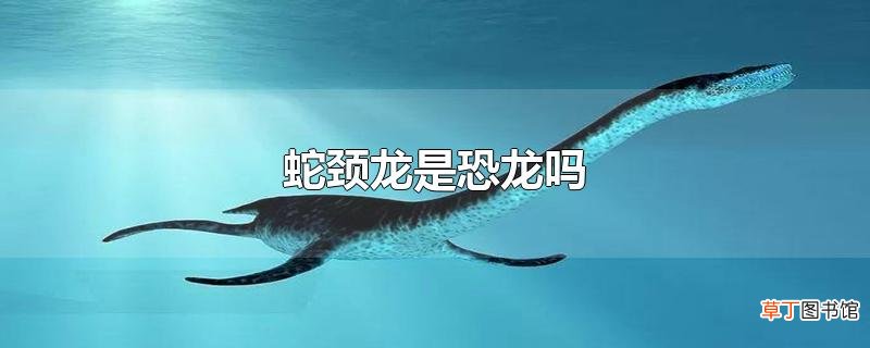 蛇颈龙是恐龙吗