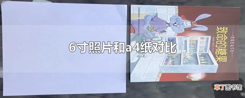 6寸照片和a4纸对比