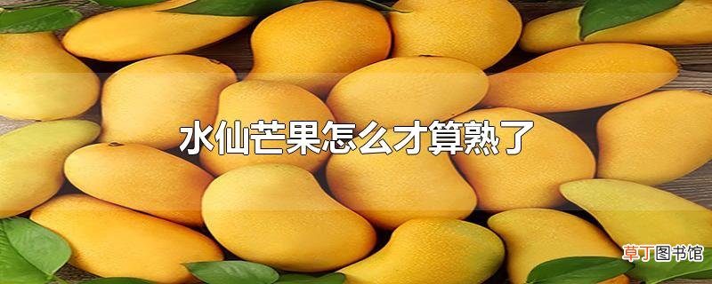 水仙芒果怎么才算熟了